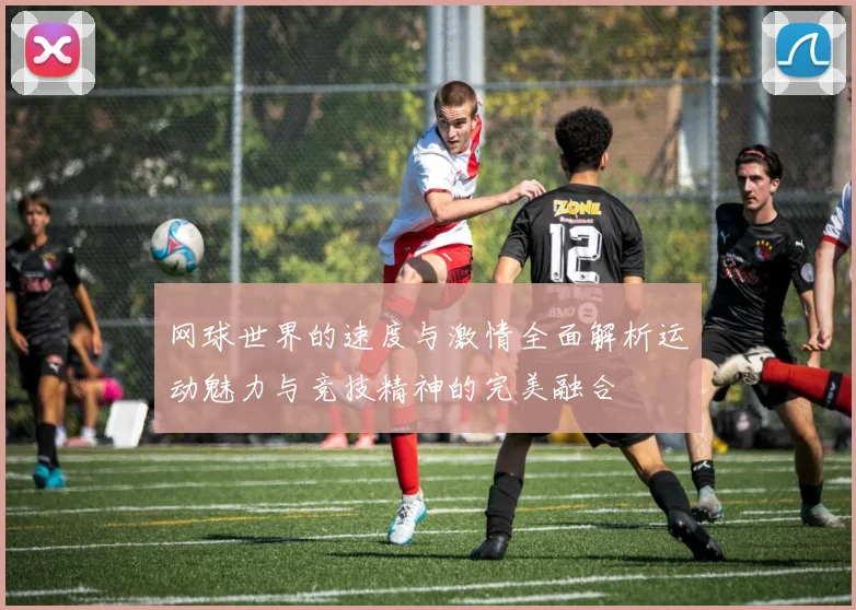 网球世界的速度与激情全面解析运动魅力与竞技精神的完美融合