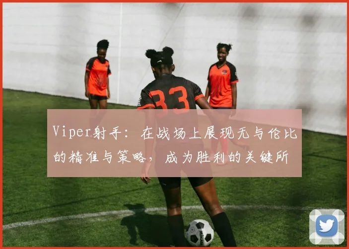 Viper射手：在战场上展现无与伦比的精准与策略，成为胜利的关键所在