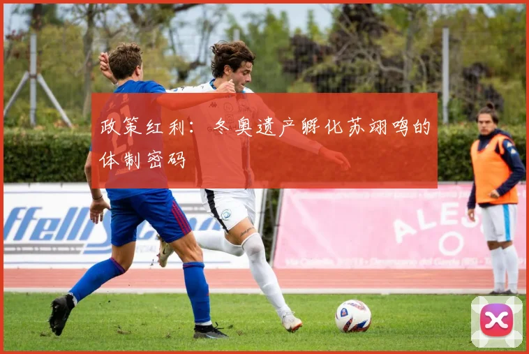 政策红利：冬奥遗产孵化苏翊鸣的体制密码